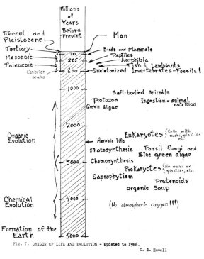 howell4.jpg (108077 bytes)