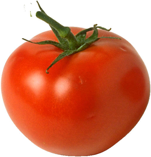 tomato.jpg (41315 bytes)